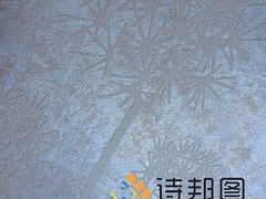 中國新型環保建材--買優惠的綠色建材,就來詩邦圖-詩邦圖(中國)品牌運營總部提供中國新型環保建材--買優惠的綠色建材,就來詩邦圖的相關介紹、產品、服務、圖片、價格肌理漆、肌理壁膜、福建肌理漆、肌理壁膜漆代理、硅藻泥廠家、肌理液體壁紙、